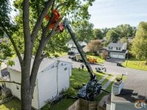 Magni RTH6.31 slide 11