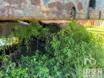 1972 American 999 slide 11