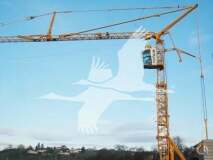 Potain IGO T130 slide 3