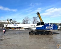 Mantis 6010 slide 11