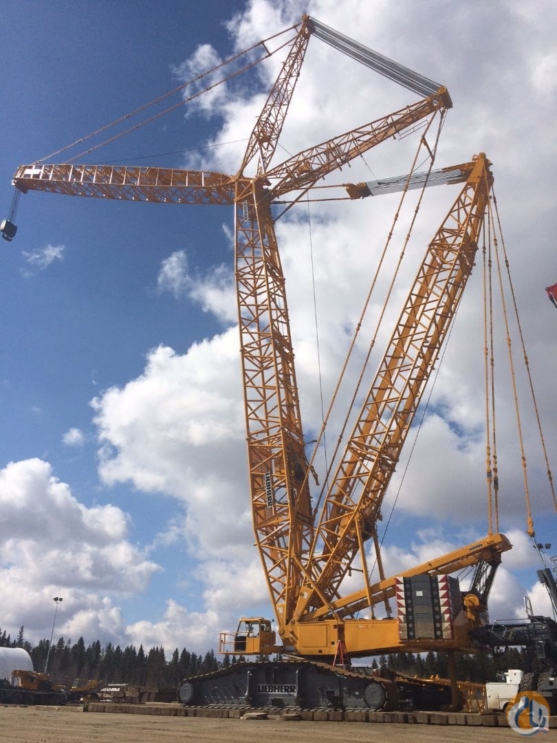 LIEBHERR LR 1750 (BW) (2005) Crane for Sale on CraneNetwork.com