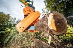 Westtech Woodcracker slide 5