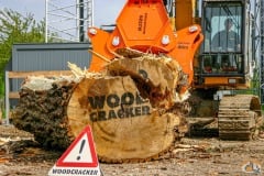 Westtech Woodcracker slide 4