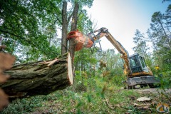 Westtech Woodcracker slide 7