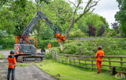 Westtech Woodcracker slide 6