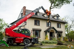 Westtech Woodcracker slide 9