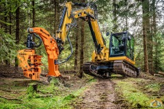 Westtech Woodcracker slide 3