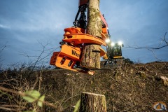 Westtech Woodcracker slide 7