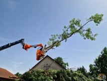 Westtech Woodcracker slide 6