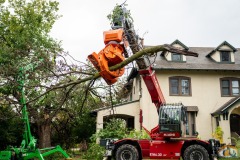 Westtech Woodcracker slide 7