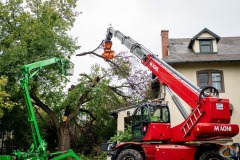 Westtech Woodcracker slide 5