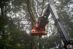 Westtech Woodcracker slide 10