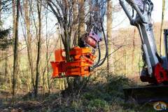 Westtech Woodcracker slide 6