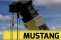 Mustang Aerial Services, Inc.