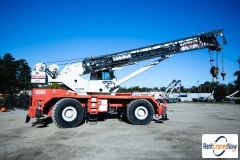 picture of a crane