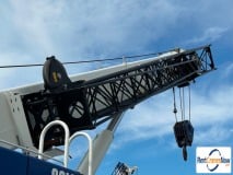 picture of a crane