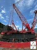 picture of a crane