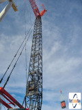 picture of a crane