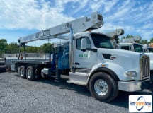 picture of a crane