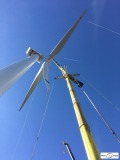 picture of a crane