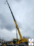 picture of a crane