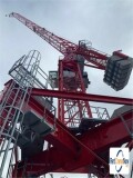picture of a crane