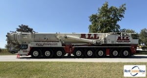 picture of a crane