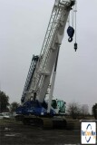 picture of a crane