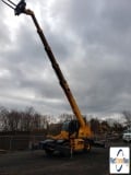 picture of a crane