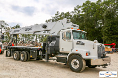 picture of a crane