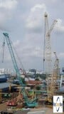 picture of a crane