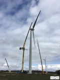 picture of a crane