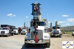 picture of a crane