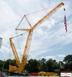 picture of a crane