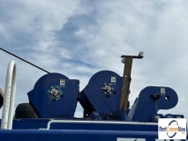 picture of a crane