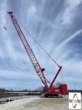 picture of a crane