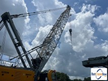 picture of a crane
