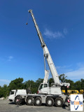 picture of a crane