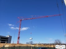picture of a crane