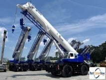 picture of a crane