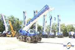 picture of a crane