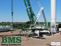 picture of a crane